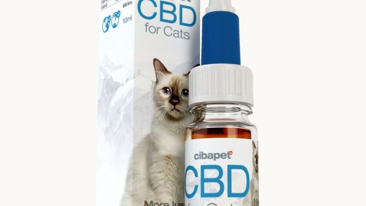 Using CBD Oil for Your Cat’s Inflammatory Skin Conditions